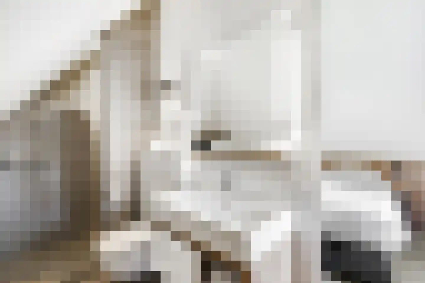 Valtherweg 36 391 Exloo thumbnail 19