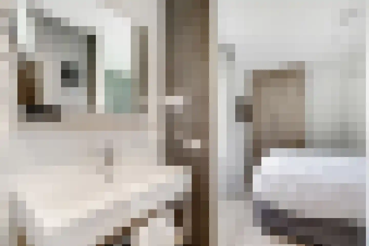 Valtherweg 36 391 Exloo thumbnail 20