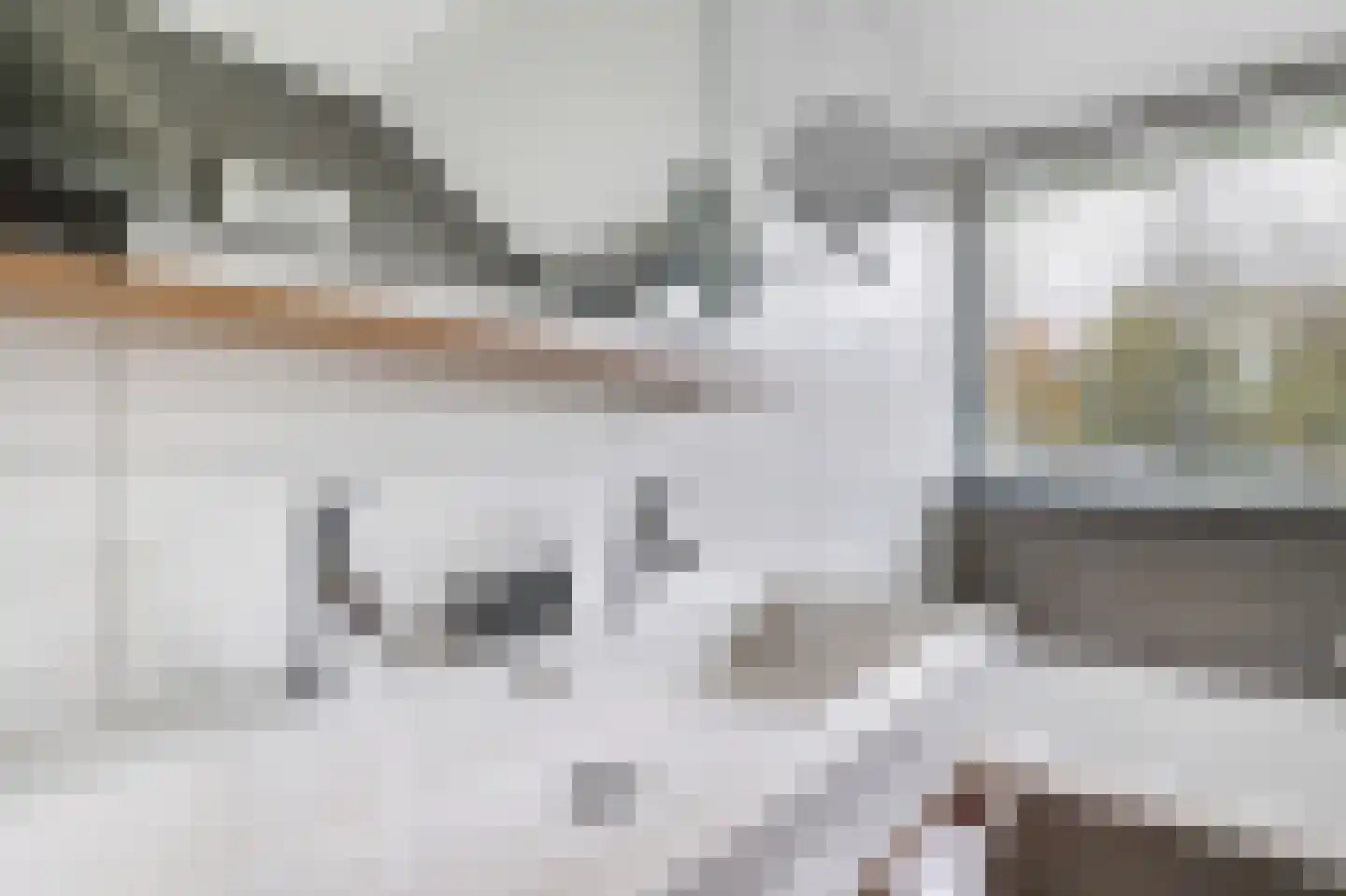 Valtherweg 36 391 Exloo thumbnail 23