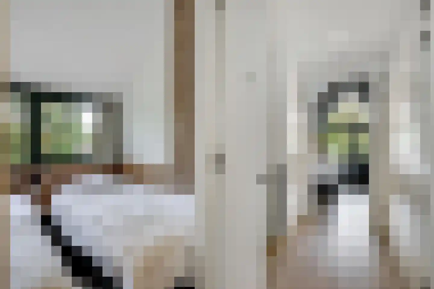 Valtherweg 36 391 Exloo thumbnail 25