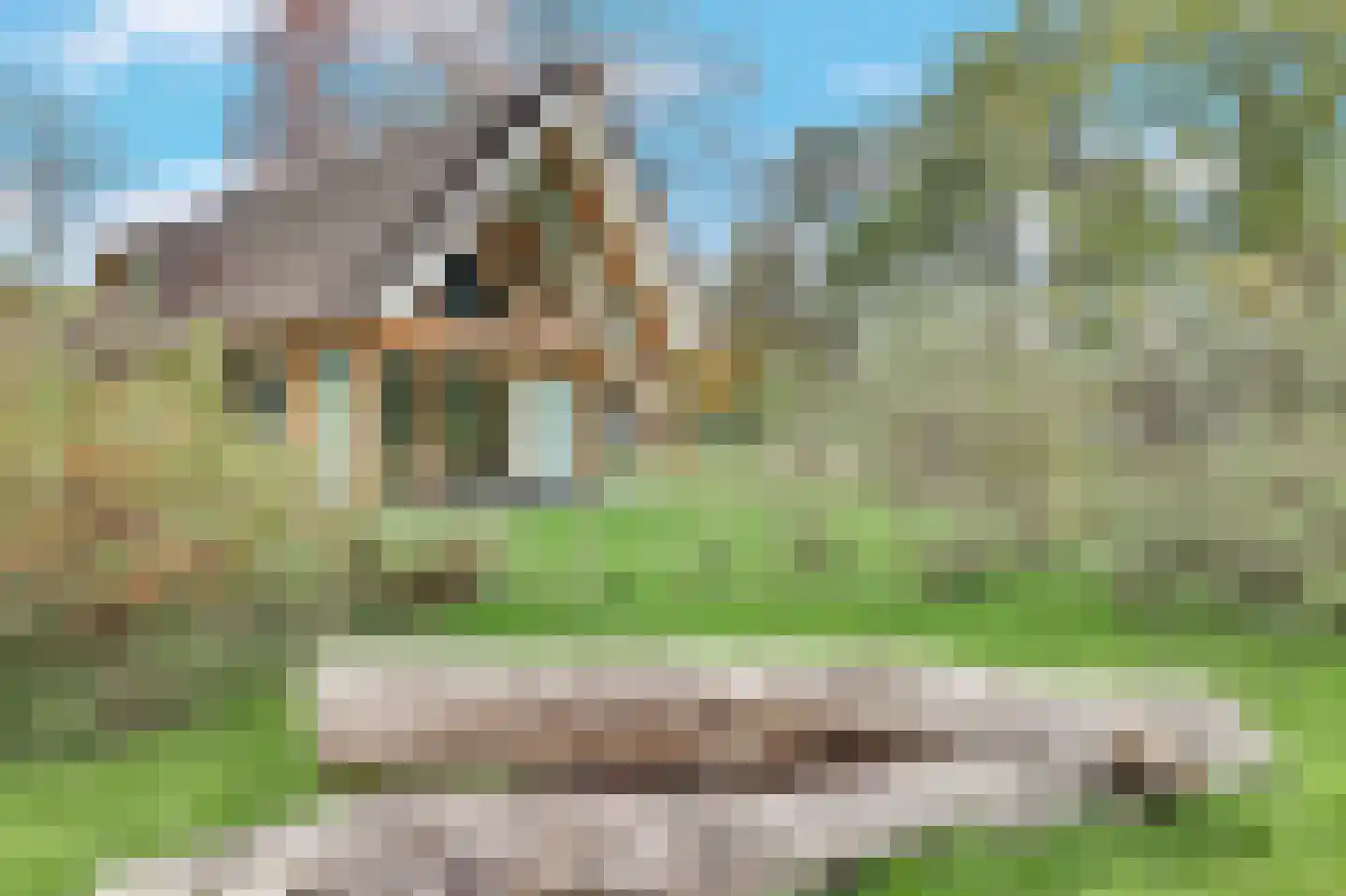 Valtherweg 36 391 Exloo thumbnail 28