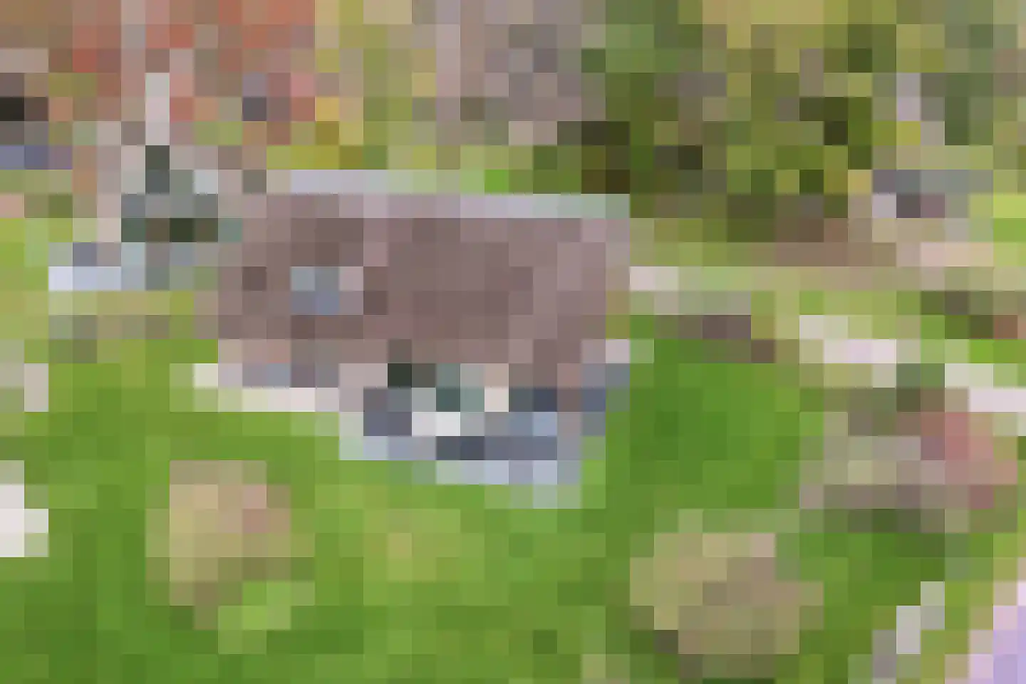 Valtherweg 36 391 Exloo thumbnail 33