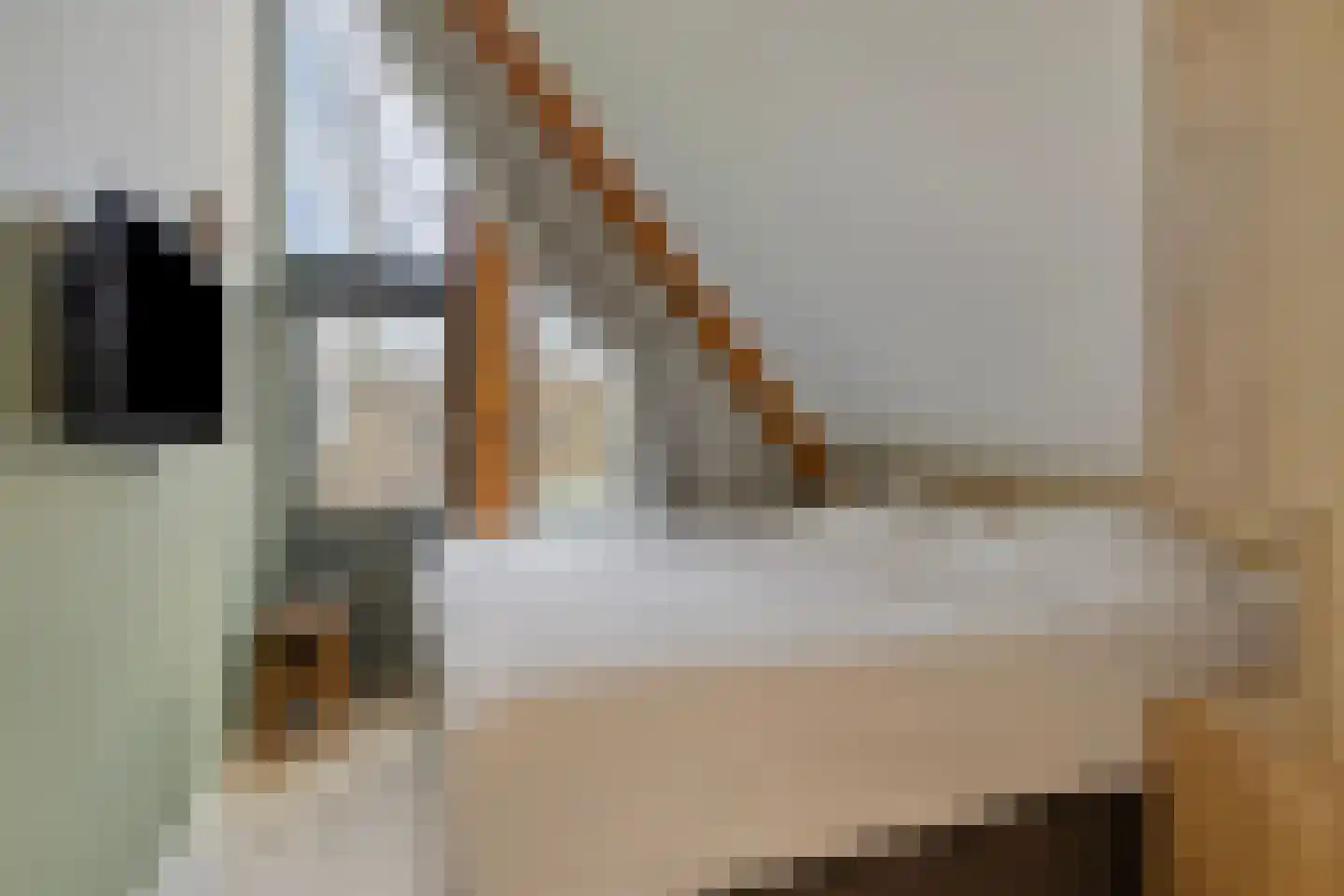 Valtherweg 36 402 Exloo thumbnail 17