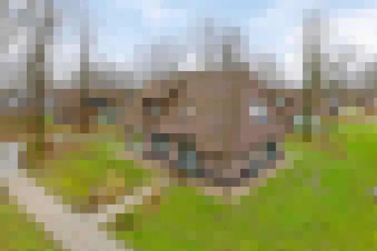 Valtherweg 36 402 Exloo thumbnail 27