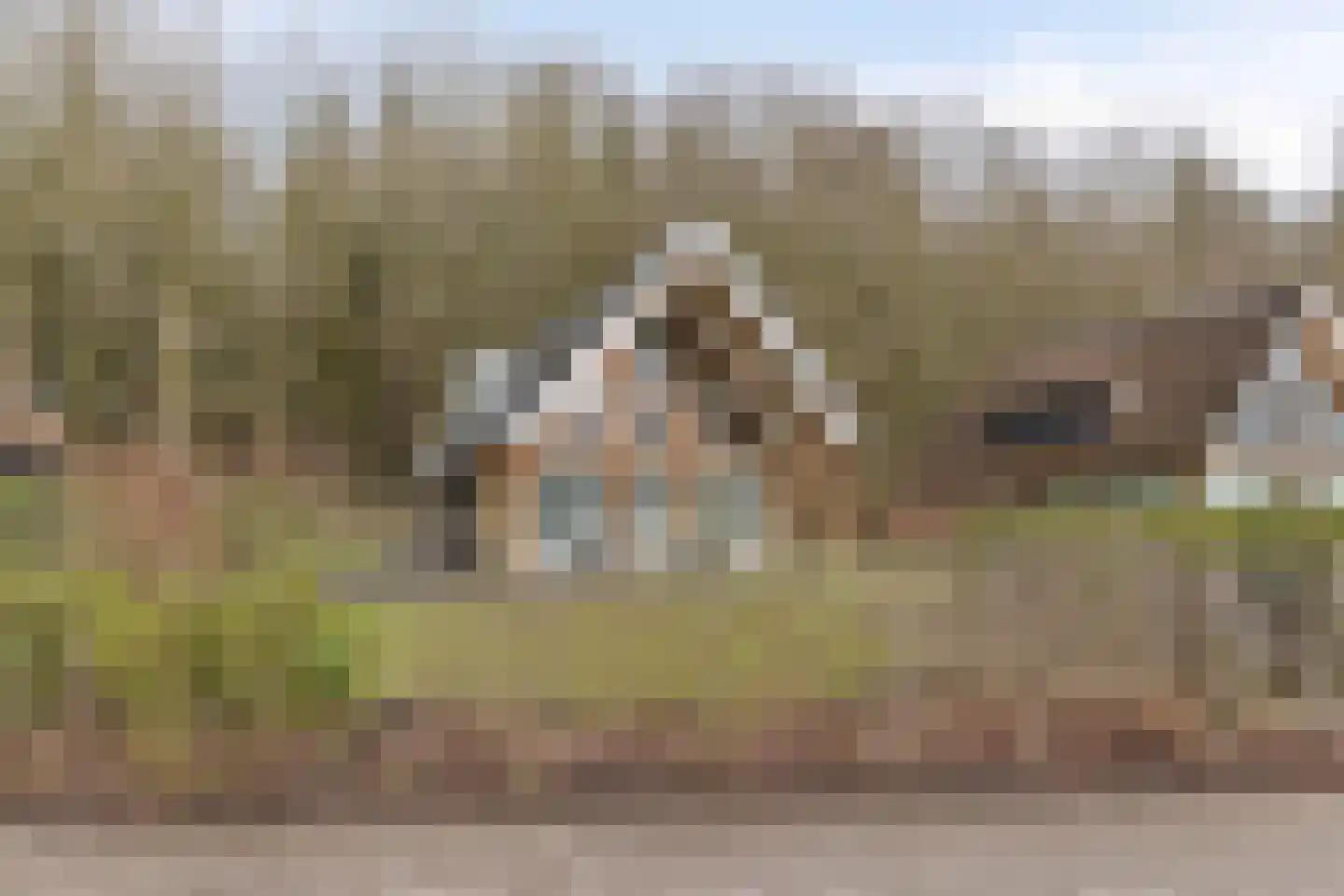 Valtherweg 36 424 Exloo thumbnail 24