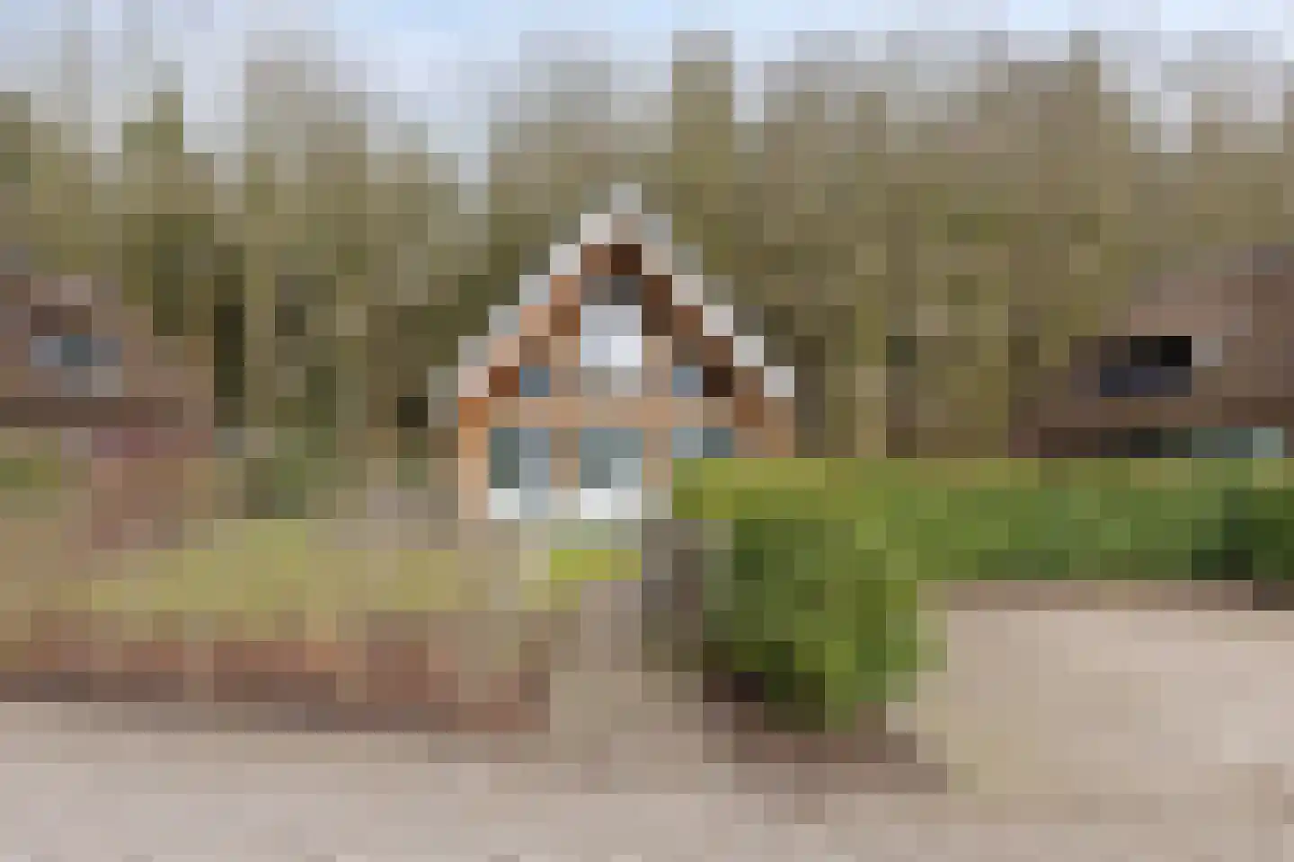 Valtherweg 36 424 Exloo thumbnail 25
