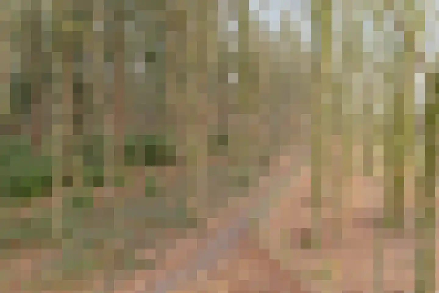 Valtherweg 36 424 Exloo thumbnail 30