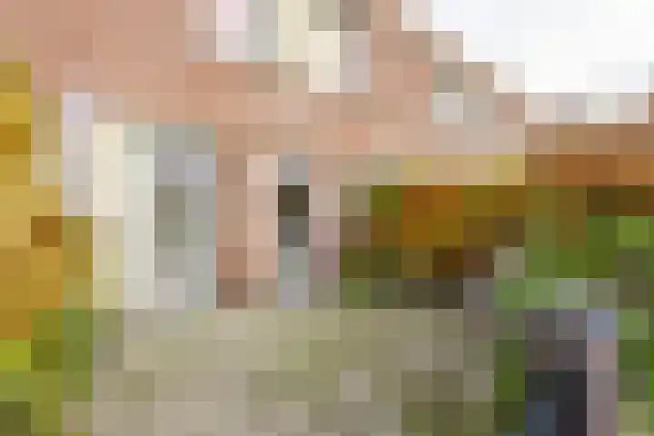 Valutaboulevard 89 Amersfoort thumbnail 25