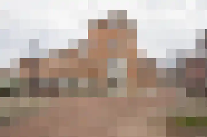 Van Aalststraat 17 in Leerdam