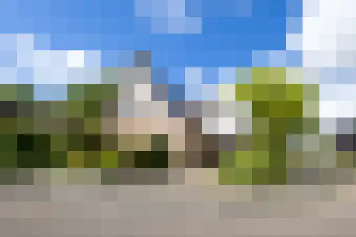 Van Aernsmastrjitte 20 in Damwâld