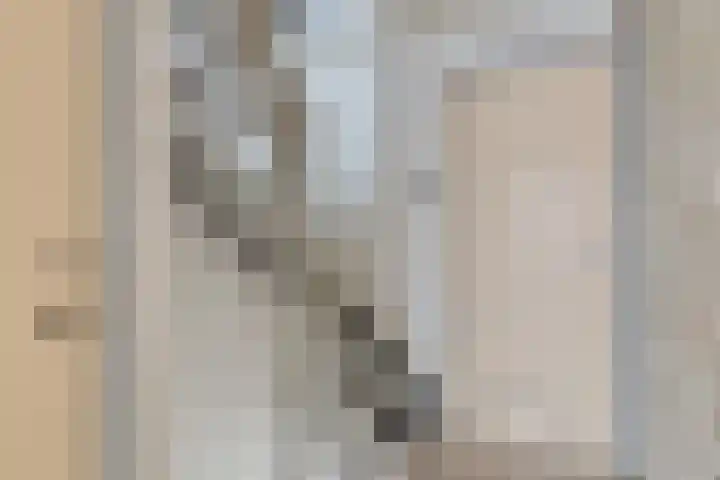 van Aitzemastraat 13 Eindhoven thumbnail 19