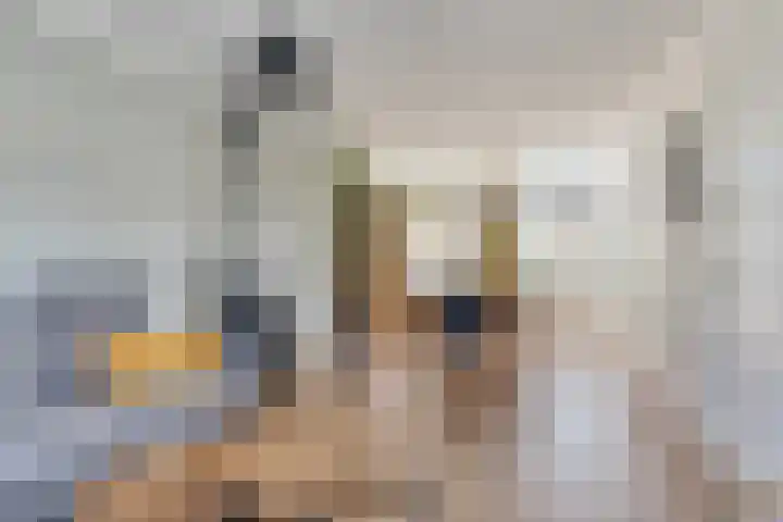 van Aitzemastraat 36 Eindhoven thumbnail 12