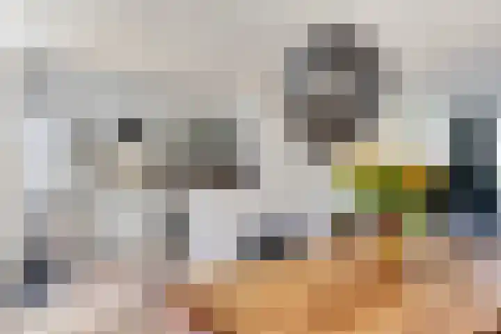van Aitzemastraat 36 Eindhoven thumbnail 16