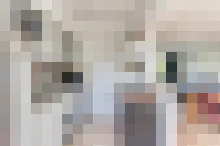 van Aitzemastraat 36 Eindhoven thumbnail 18