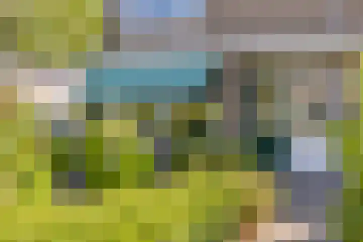 van Aitzemastraat 36 Eindhoven thumbnail 7