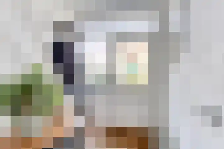 van Aitzemastraat 36 Eindhoven thumbnail 8