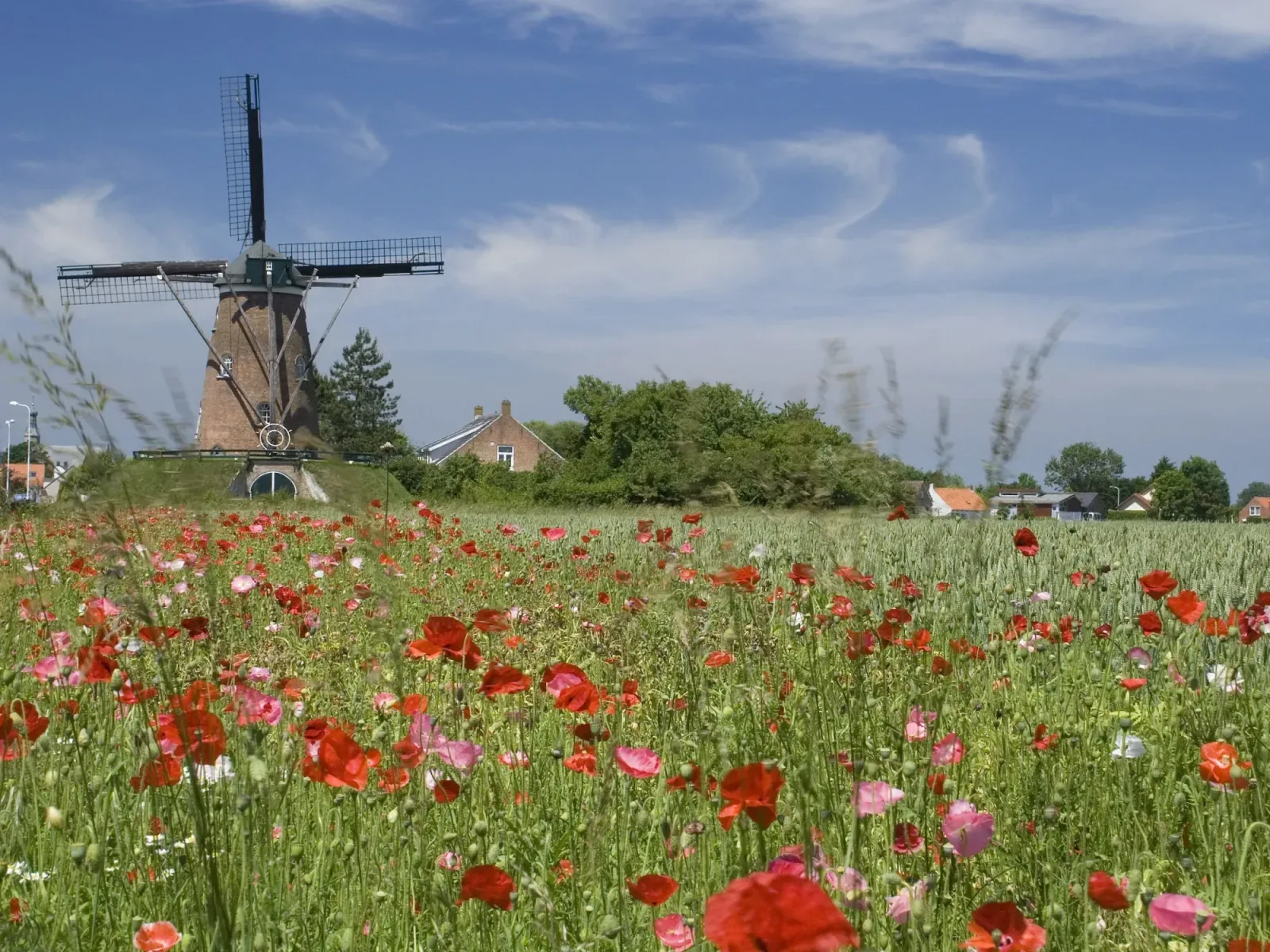 Photo d'équipe de Van Akker Makelaars