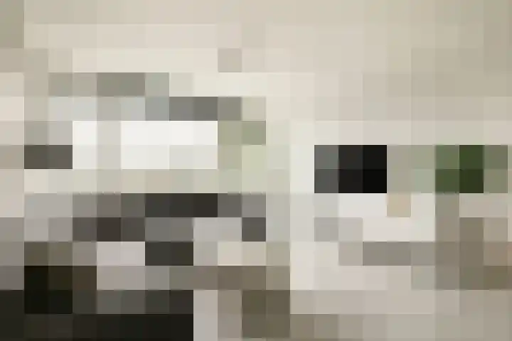 van Ambestraat 5 in Bemmel