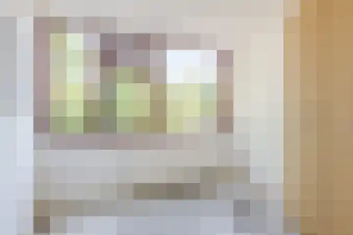 Van Anrooijstraat 21 Oss thumbnail 14