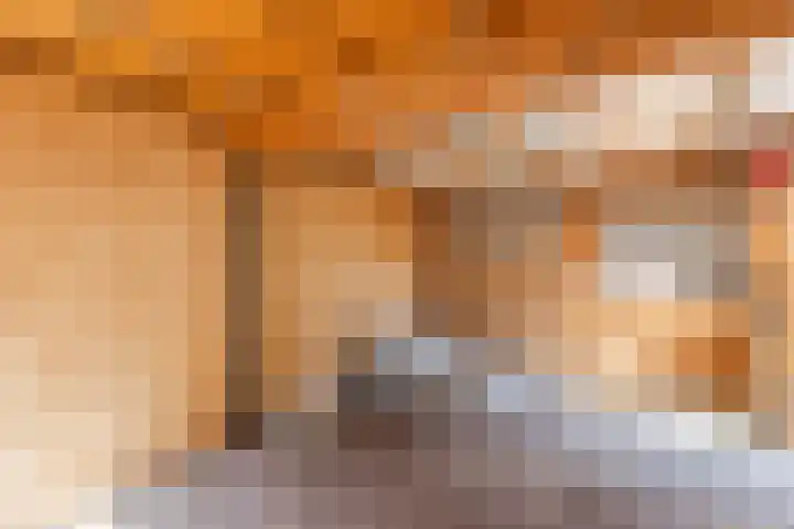 Van Anrooijstraat 21 Oss thumbnail 22
