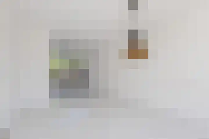 Van Anrooijstraat 21 Oss thumbnail 4