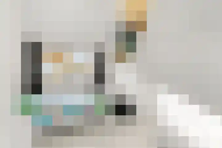 Van Anrooylaan 3 Ede thumbnail 38
