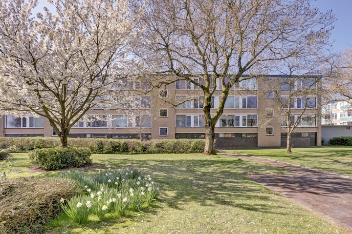 Van Anrooystraat 317 in Ridderkerk foto