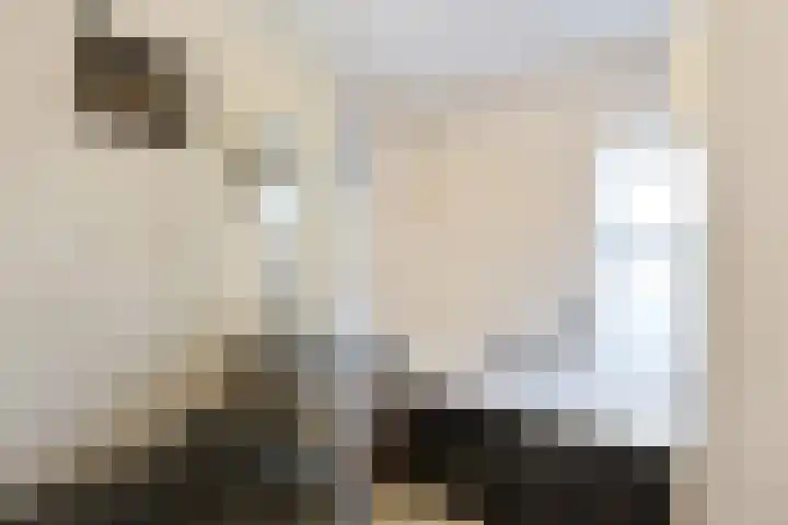 Van Aostastraat 13 Heiloo thumbnail 13