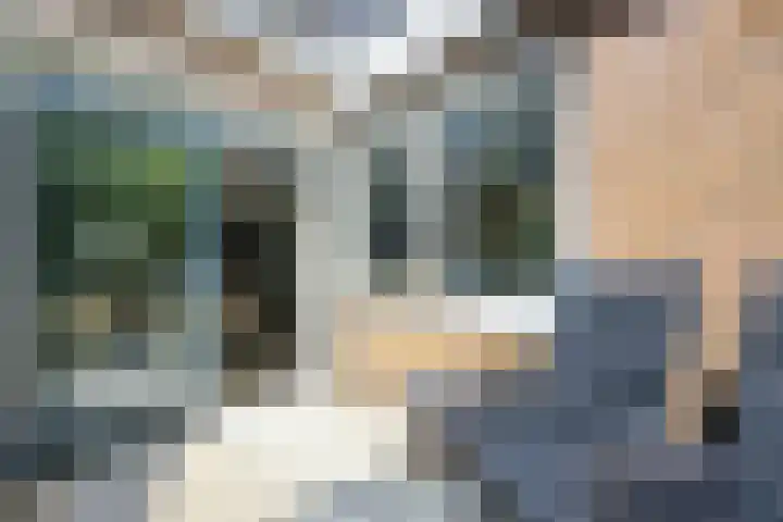 Van Aostastraat 13 Heiloo thumbnail 30