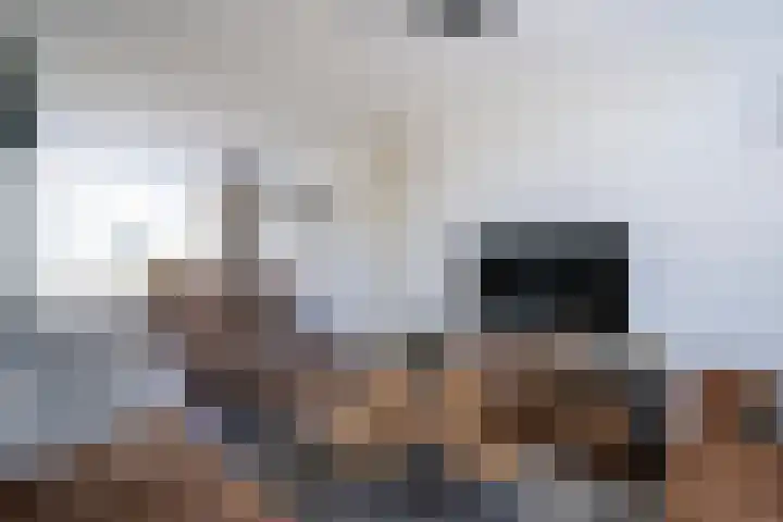 van Arkelstraat 43 Asperen thumbnail 5
