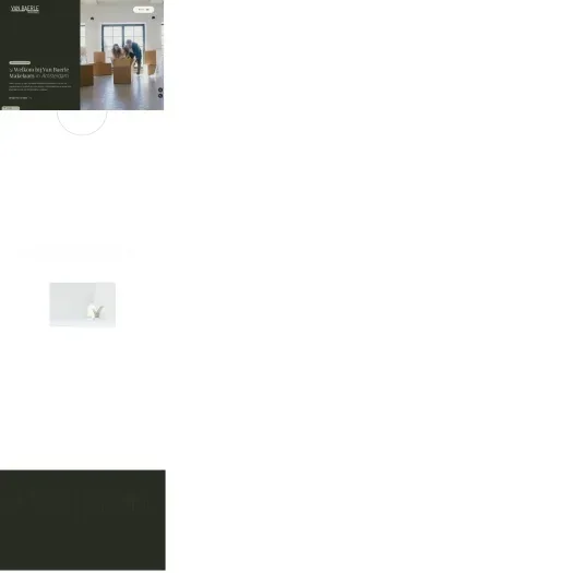 Screenshot van de website van www.vanbaerlemakelaars.nl