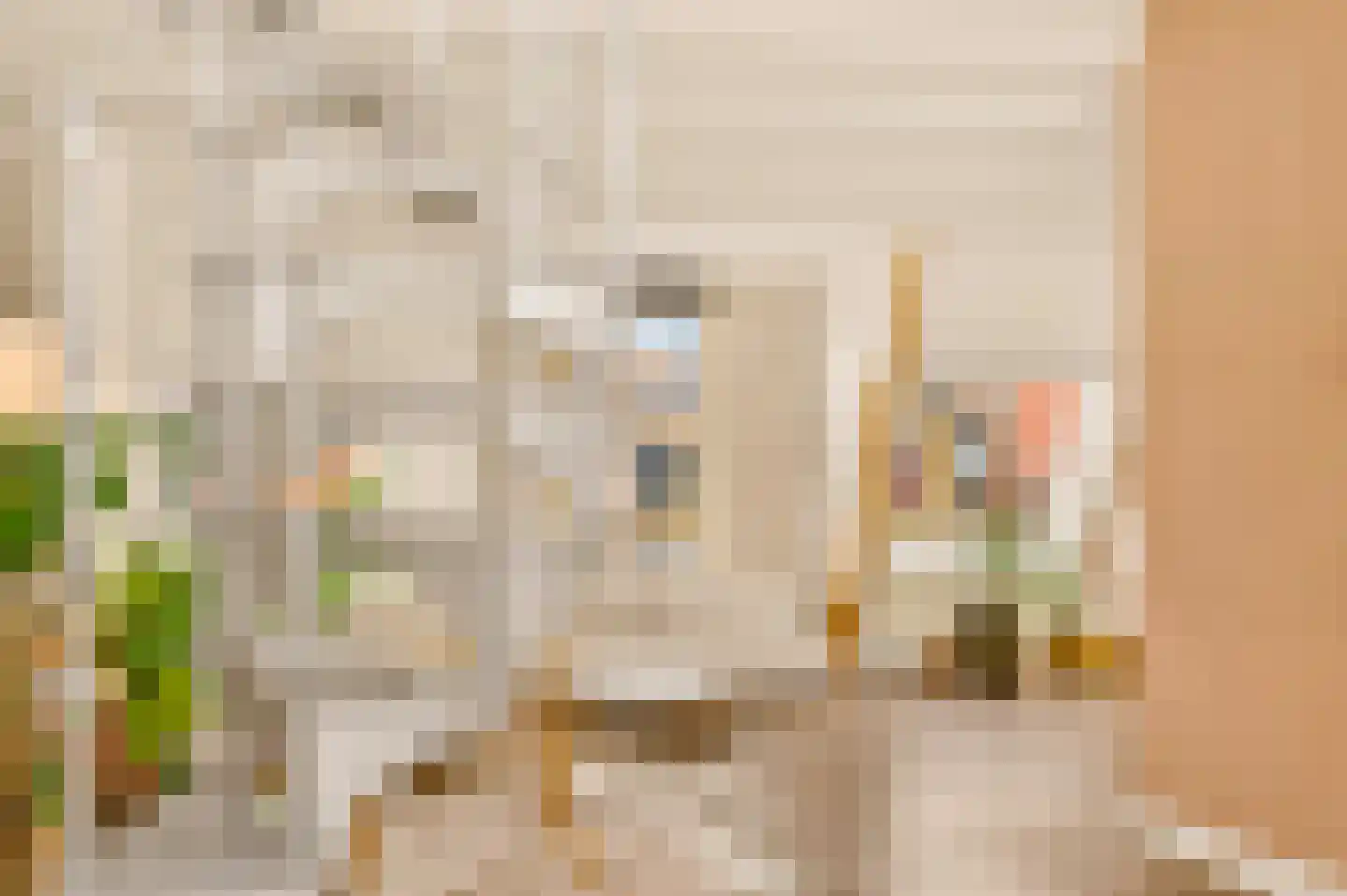 Van Baerlestraat 75 2 Amsterdam thumbnail 15