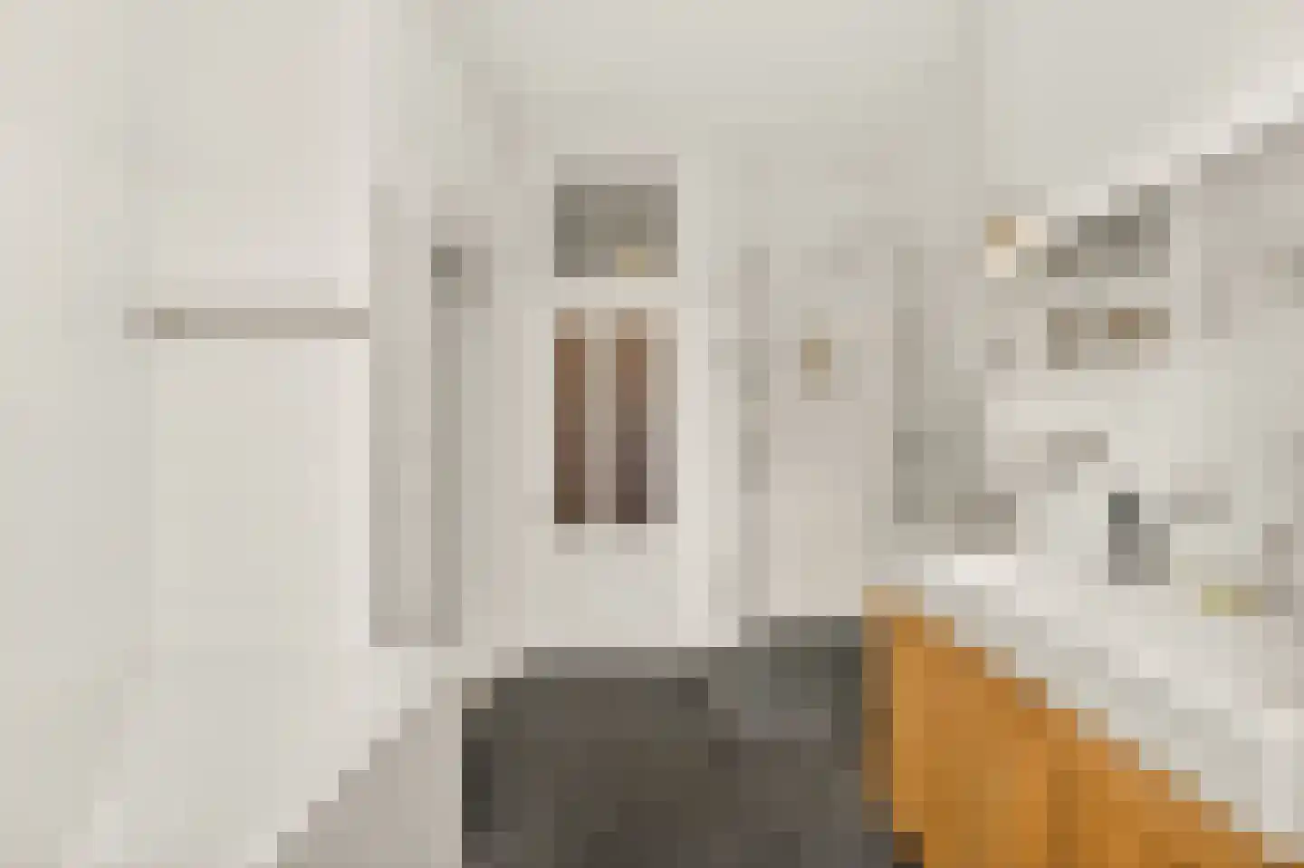 Van Baerlestraat 75 2 Amsterdam thumbnail 35