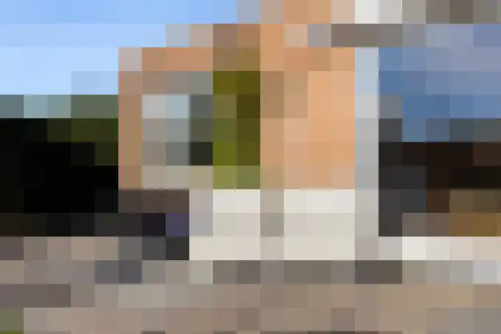 Van Barrylaan 23 Numansdorp thumbnail 48