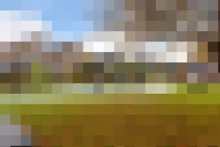 Van Barrylaan 23 Numansdorp thumbnail 56
