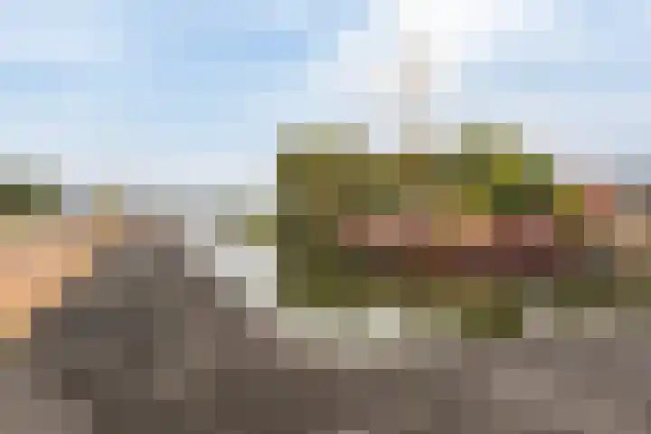 Van Barrylaan 23 Numansdorp thumbnail 58