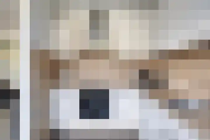 van Beethovenlaan 34 Losser thumbnail 12
