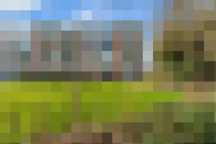 Van Beethovenstraat 3 Ridderkerk thumbnail 31