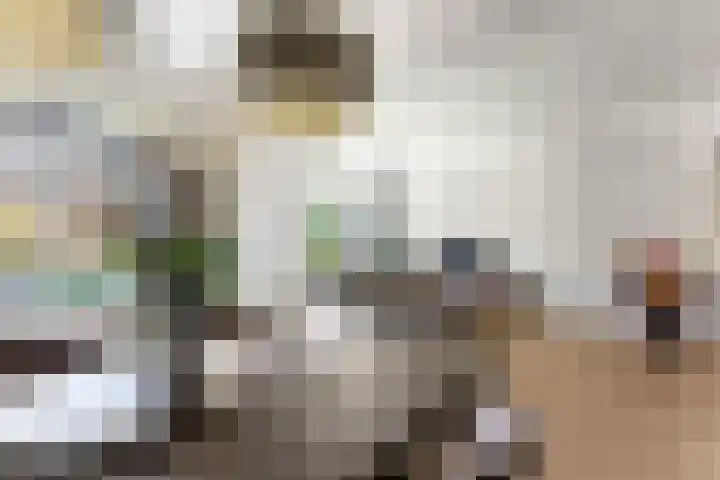 Van Beethovenstraat 3 Ridderkerk thumbnail 9