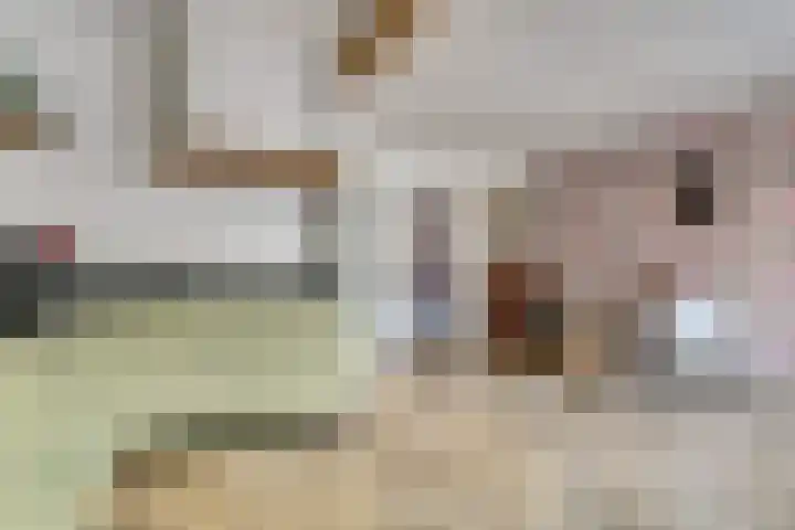 Van Bemmellaan 72 Monster thumbnail 11