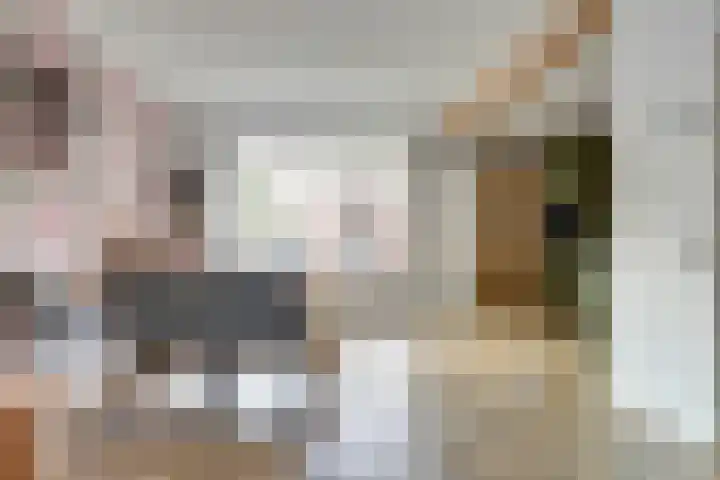 Van Bemmellaan 72 Monster thumbnail 8