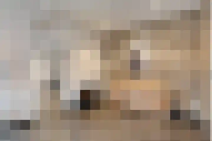 Van Bemmelstraat 31 Borne thumbnail 10