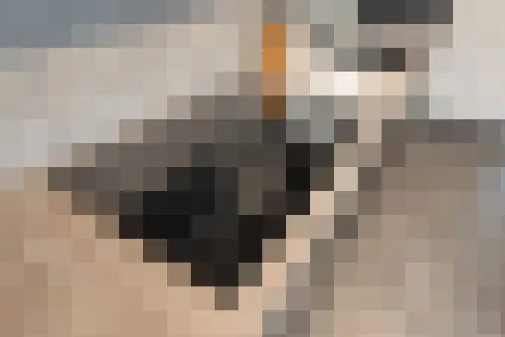 Van Bemmelstraat 31 Borne thumbnail 13