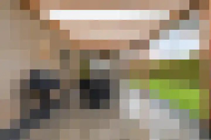 Van Bemmelstraat 31 Borne thumbnail 25