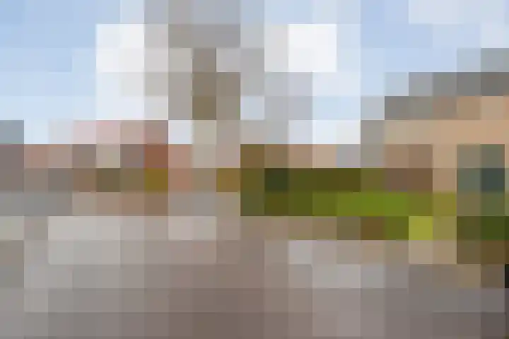 Van Bemmelstraat 31 Borne thumbnail 31
