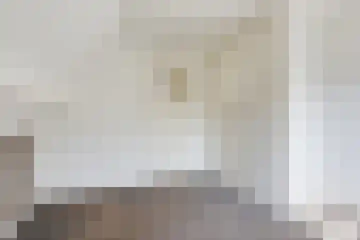 Van Berckstraat 5 Velp thumbnail 13