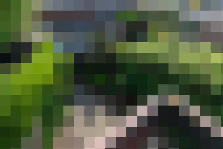 Van Berckstraat 5 Velp thumbnail 15