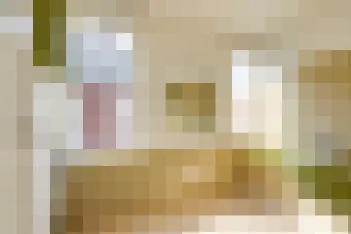 Van Berckstraat 5 Velp thumbnail 17