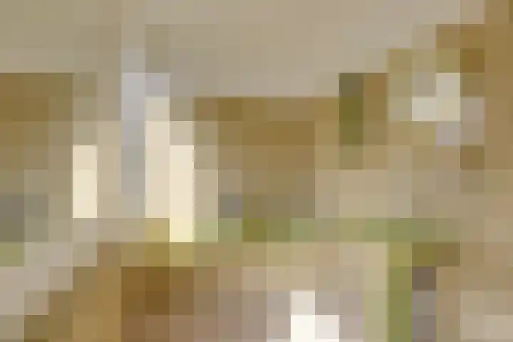 Van Berckstraat 5 Velp thumbnail 18