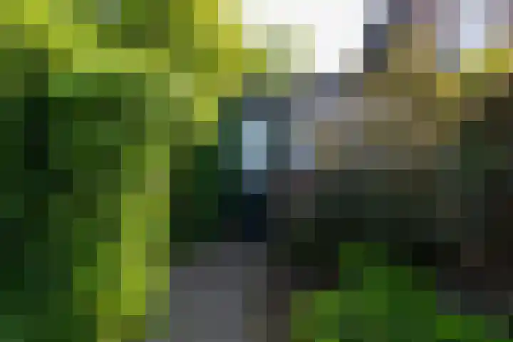 Van Berckstraat 5 Velp thumbnail 24